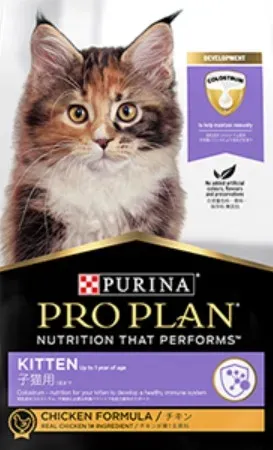 ピュリナ ワン 猫 ブリーダー選びの絶対条件！健康な子猫と長く幸せに暮らす究極の秘訣